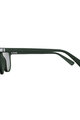 SCOTT Ochelari de ciclism - RIFF POLARIZED - verde