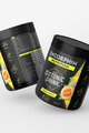 ENDORPHIN NUTRITION o bautura - ISO DRINK CANTALOUPE 500gr